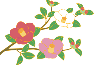 Camellia Flower