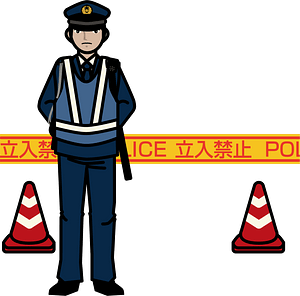 Traffic Police Officer