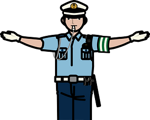 Traffic Police Officer