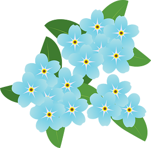 Forget Me Not Flower