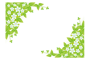 Frame with Flower and Leaf