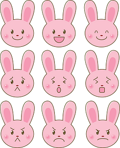 Rabbit's Facial Expression