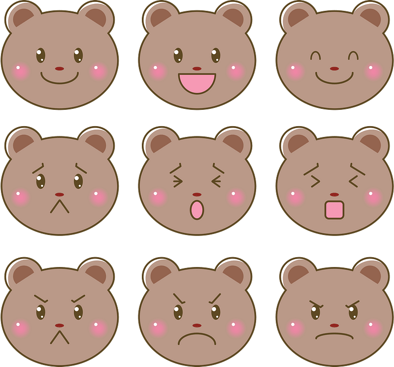 Bear's Facial Expression