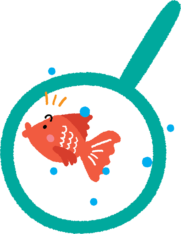 Goldfish
