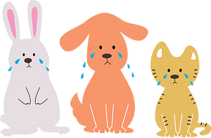 Rabbit, Dog and Cat are Crying
