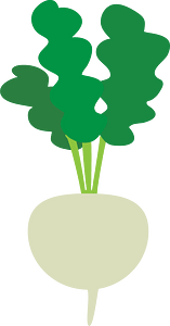 Turnip Vegetable