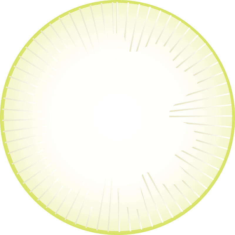 Daikon Vegetable