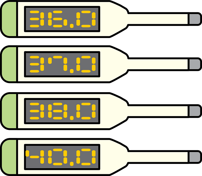 Electronic Clinical Thermometer