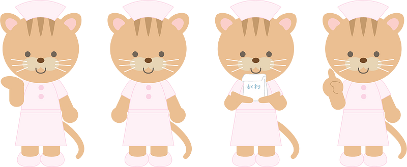 Cat Nurse