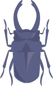 Stag Beetle Insect