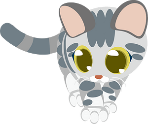 Kitten