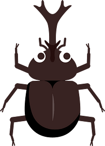 Japanese Rhinoceros Beetle