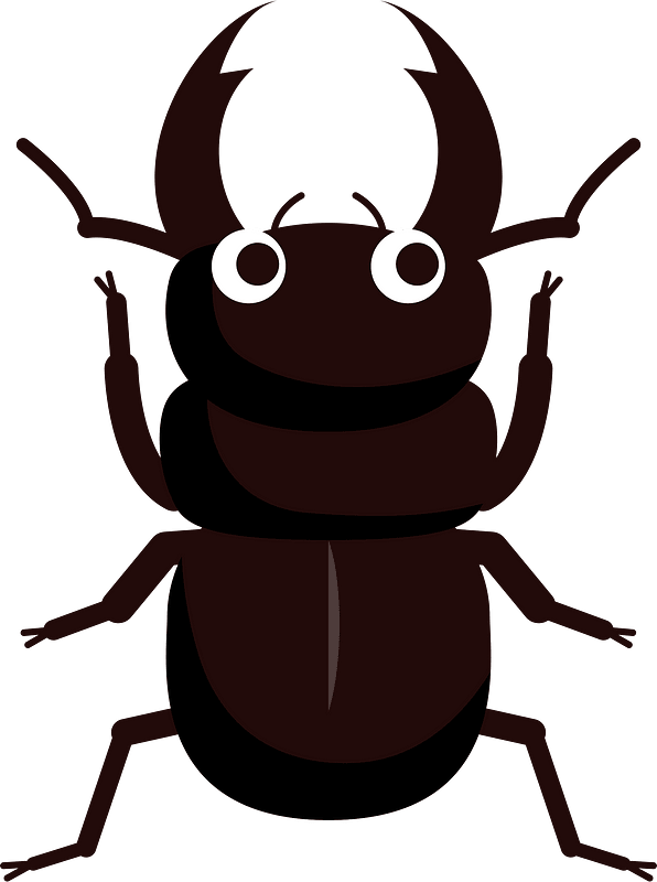 Stag Beetle Insect