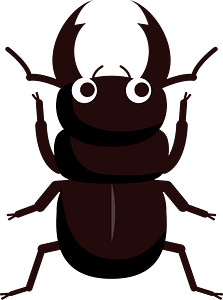 Stag Beetle Insect