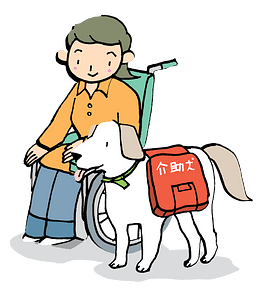 Assistance Dog Helps a Lady with Disability
