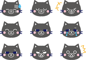 Cat's Face Expression