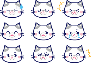 Cat's Face Expression