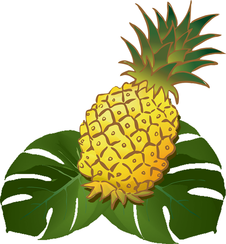 Pineapple on a Leaf