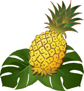 Pineapple on a Leaf