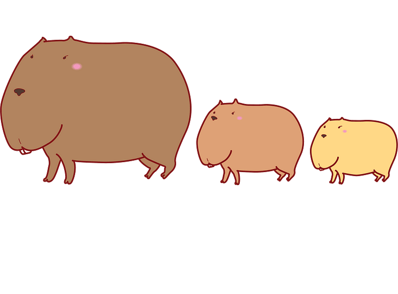 Capybara