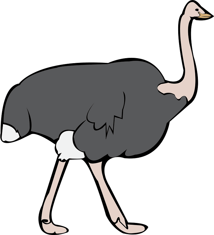 Burung unta