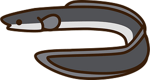 Unagi Eel