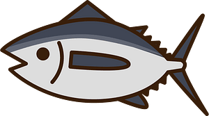 金槍魚