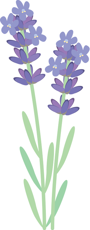 Lavender Flower