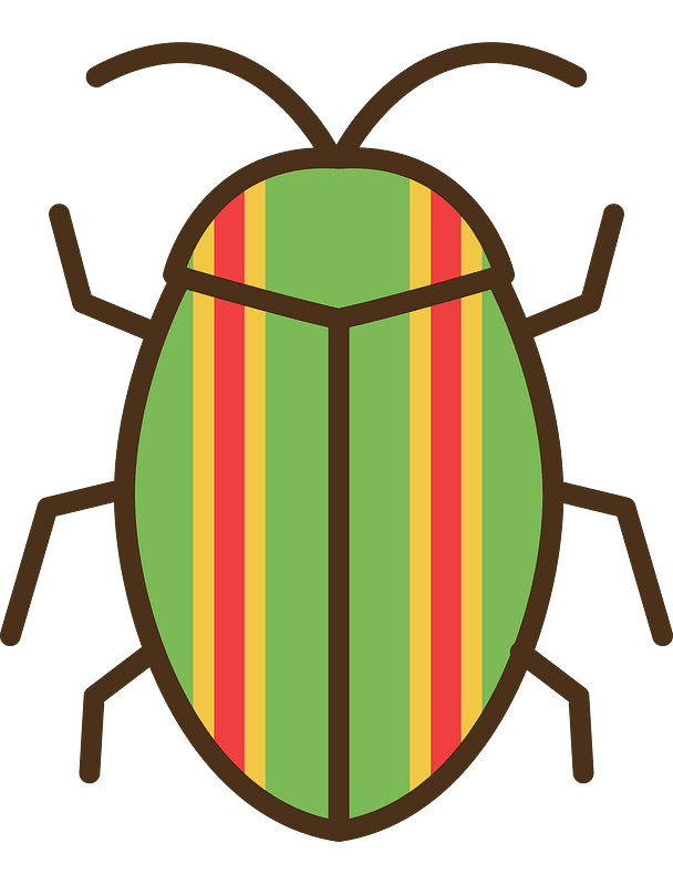 Jewel Beetle Insect