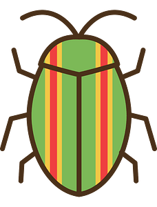 Jewel Beetle Insect