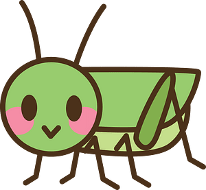 Grasshopper Insect