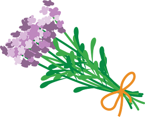 薰衣草花