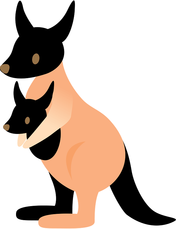 Kangaroo
