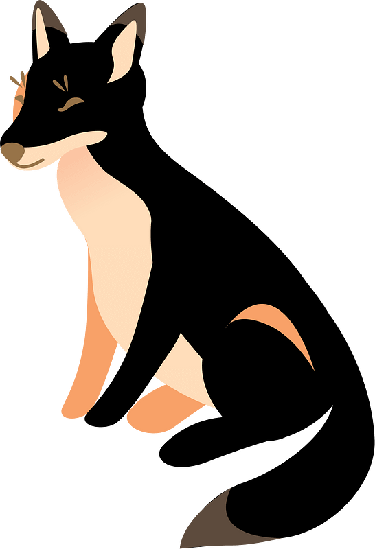 Fuchs