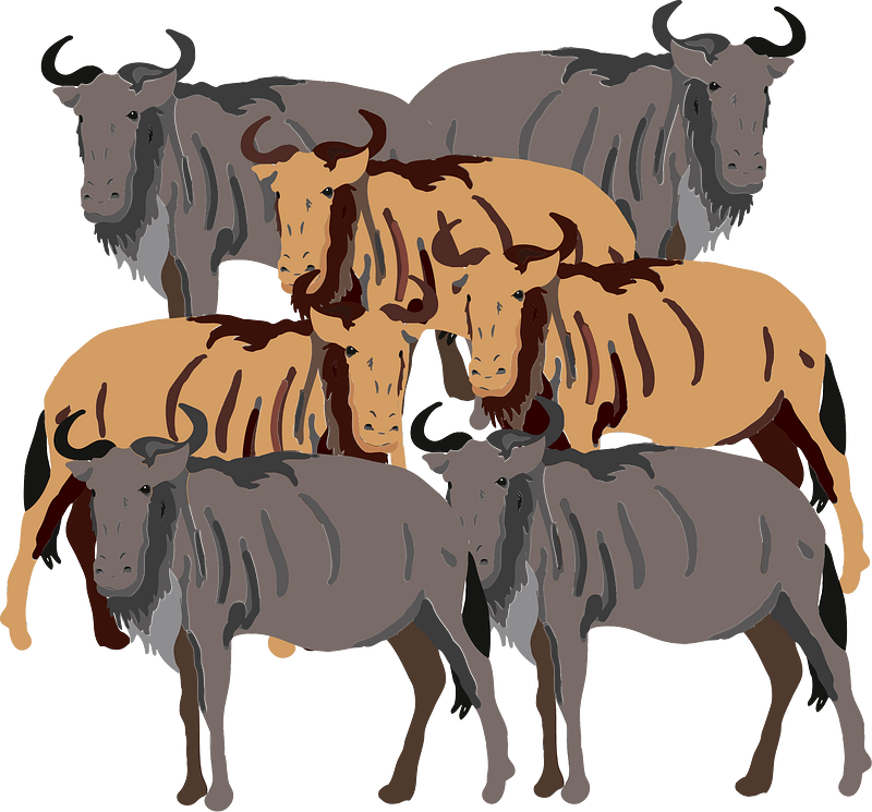 Wildebeest Gnu - Free vector clipart images on creazilla.com