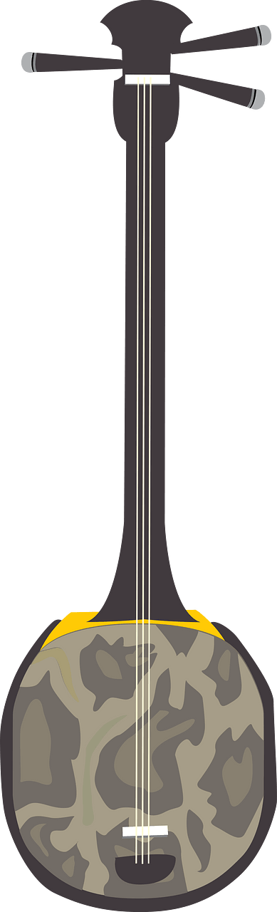 Okinawan Instrument - Sanshin