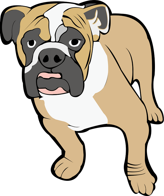 Bulldog - Free vector clipart images on creazilla.com