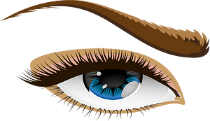 Eye and Eyebrow