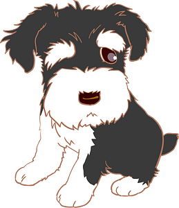 Miniature Schnauzer Dog