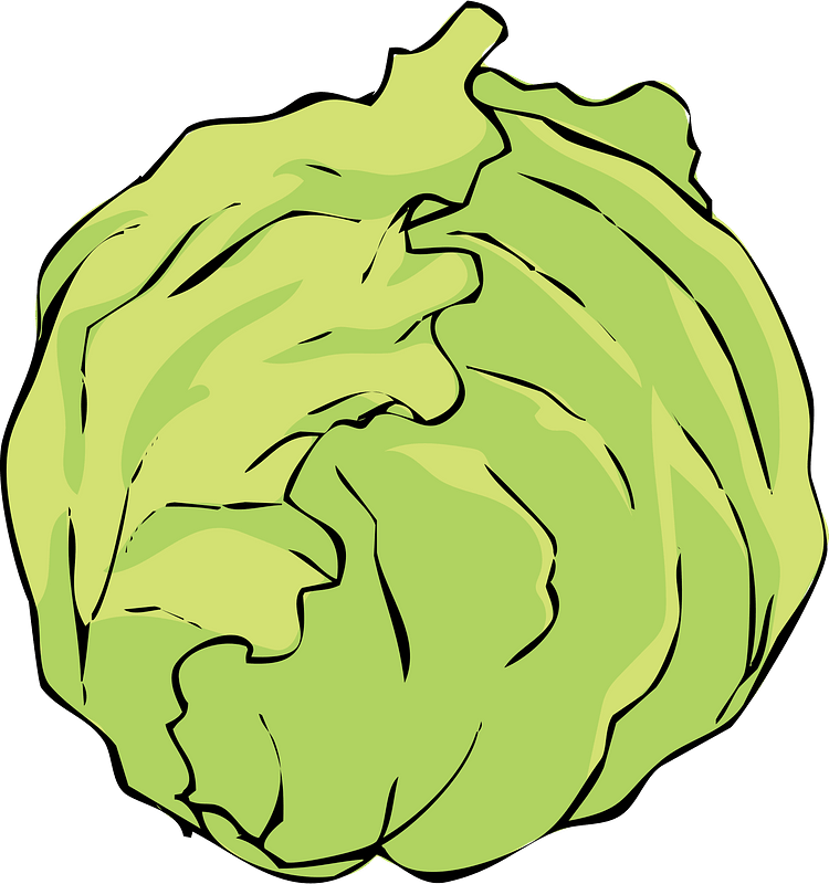 Lettuce