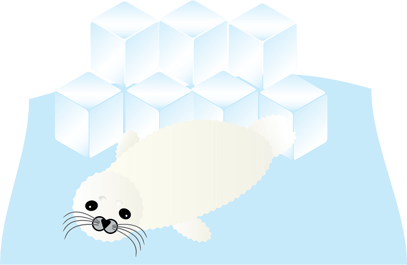 Earless Seal