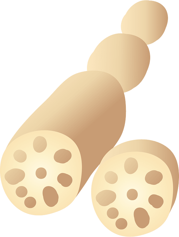 Lotus Root