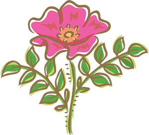 Rugosa Rose Flower