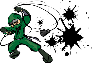 Ninja Shinobi