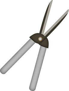 Pruning Shears