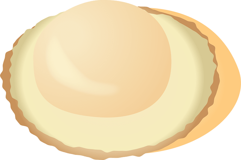 Yesso Scallop Shellfish