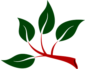 Branch with green leaves