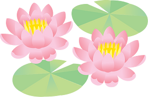 Water Liliy Flower