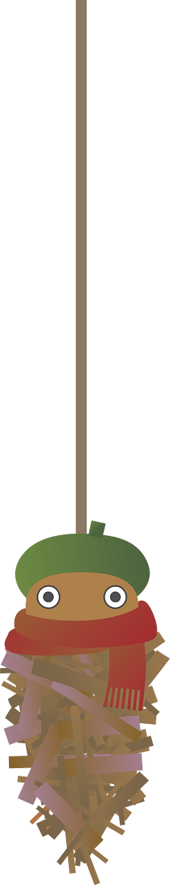 Bagworm Moth
