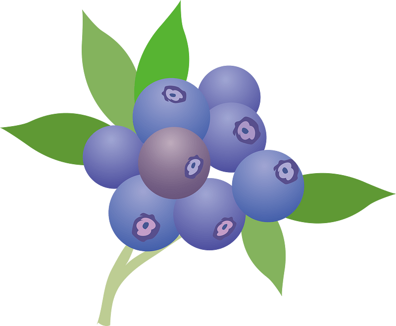 Blueberry